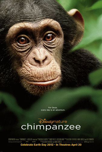 CHIMPANZEE poster Disneynature Chimpanzee